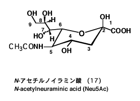 図-９　N-アセチルノイラミン酸